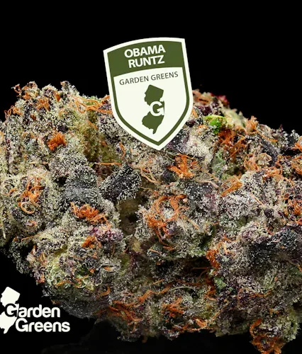 Obama Runtz 3.5g